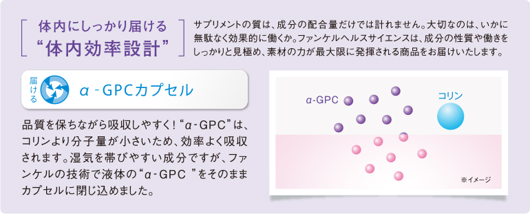 α-GPコリン｜商品ラインナップ｜医療関係者のための サプリメントサイト｜ファンケルヘルスサイエンス