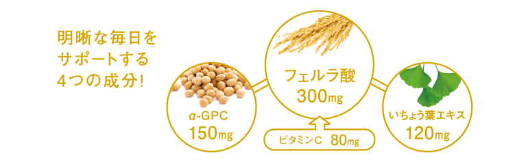 フェルラ酸｜商品ラインナップ｜医療関係者のための サプリメントサイト｜ファンケルヘルスサイエンス