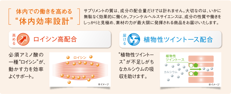 ロイシン｜商品ラインナップ｜医療関係者のための サプリメントサイト｜ファンケルヘルスサイエンス